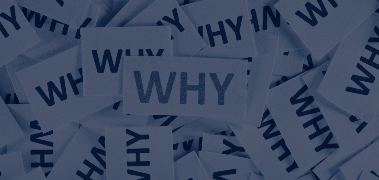 Why We Do What We Do: The Vision Behind We The Free