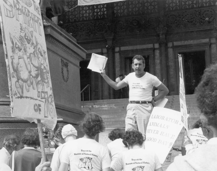 Most animal activists give up. Here's how to avoid that.