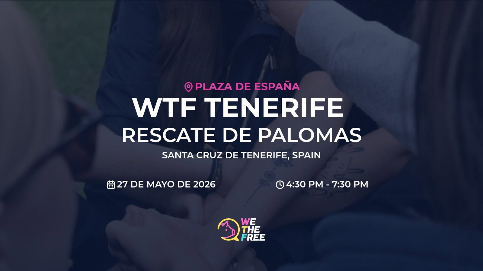 Rescate de palomas