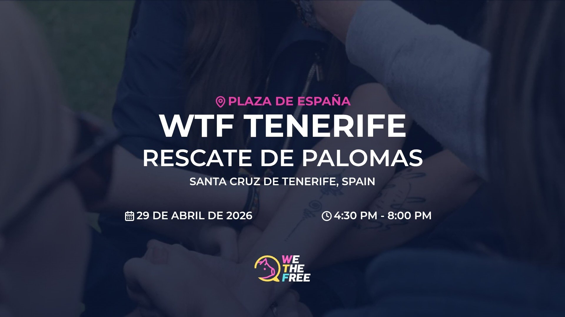 Rescate de palomas